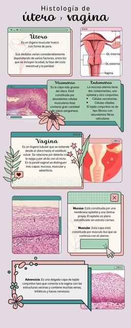 Histología de Útero y Vagina