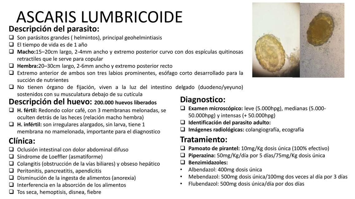 exam presencial parasito