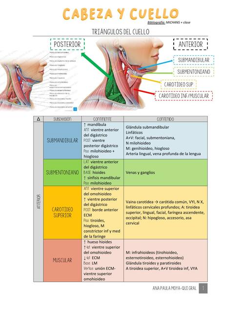 Cabeza y Cuello