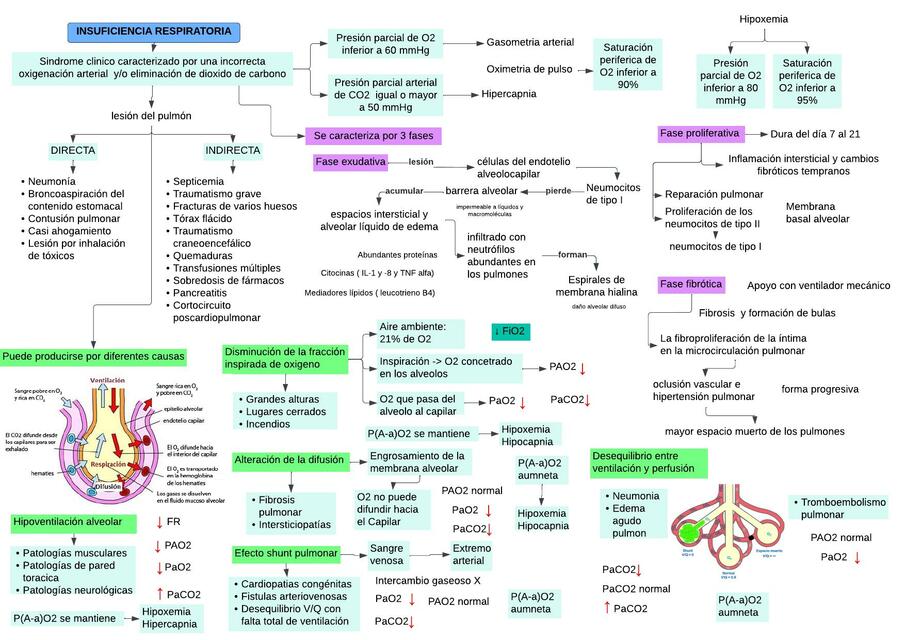 Insuficiencia Respiratoria e Insuficiencia Cardiaca 