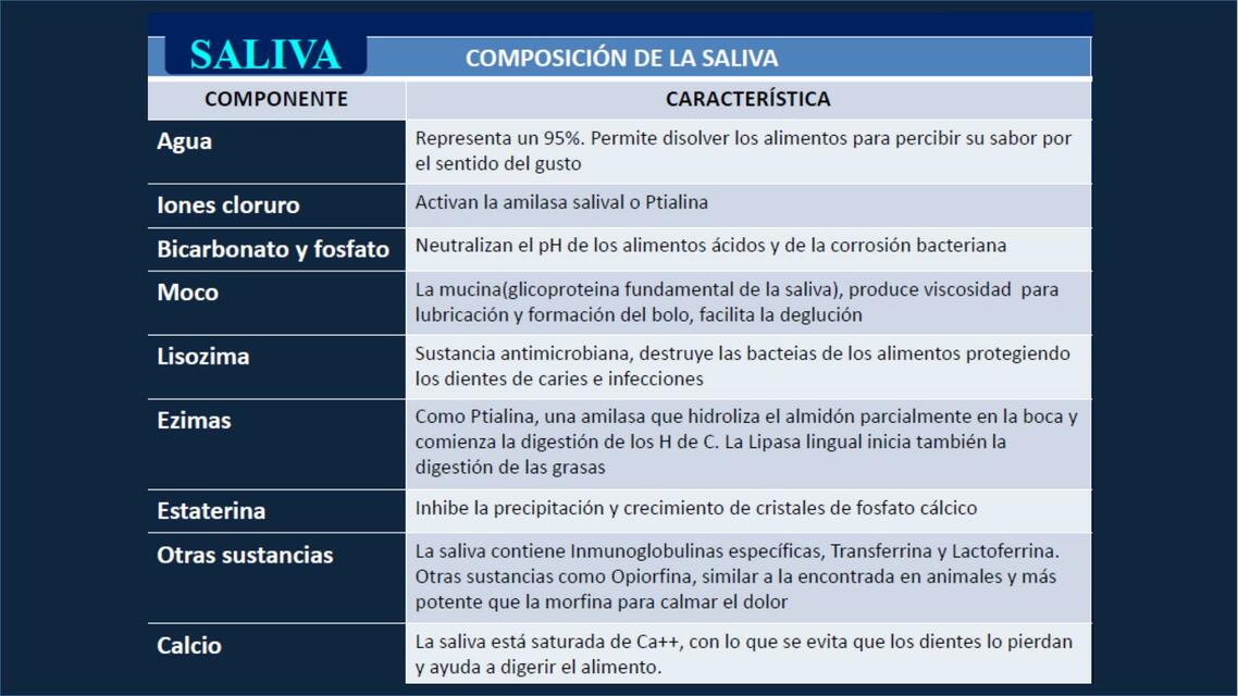 Composición de la saliva