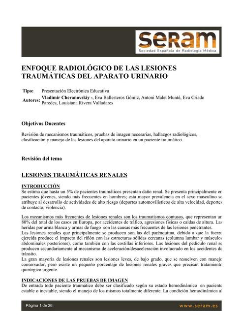 Enfoque Radiológico de la Lesiones Traumáticas del Aparato Urinario 