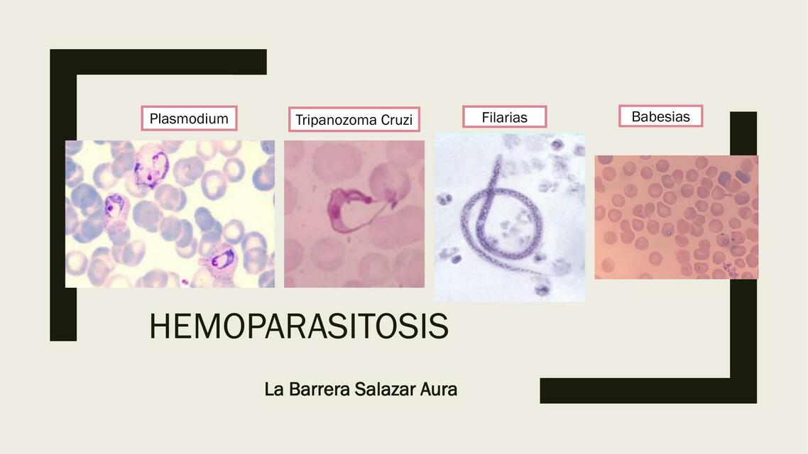 Hemoparasitosis 