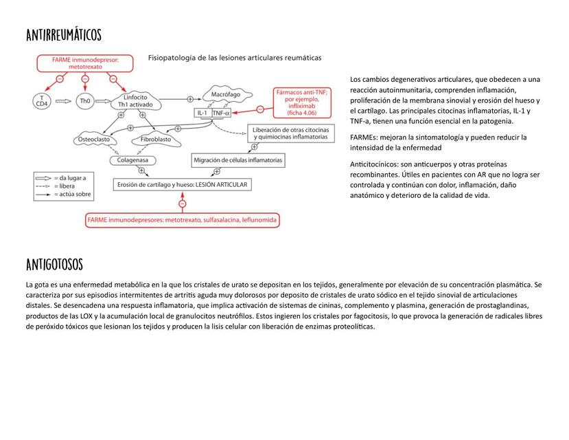 Antireumaticos y antigotosos