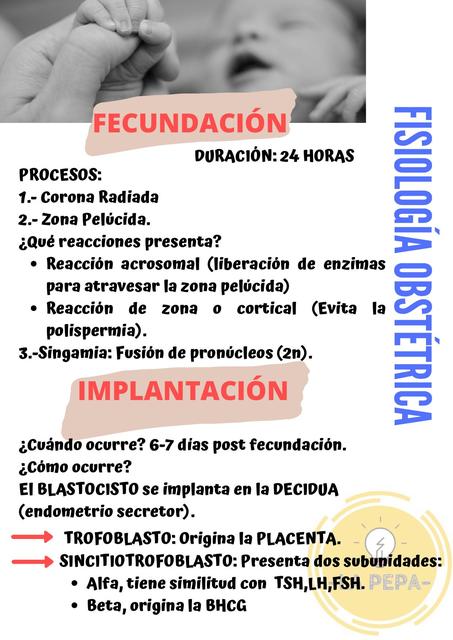 FISIOLOGÍA OBSTÉTRICA