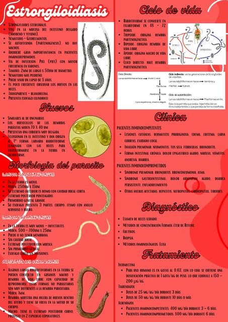 Estrongiloidiasis