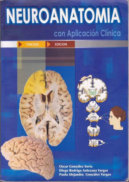 NEUROANATOMIA CLINICA DE OSCAR GONZALES