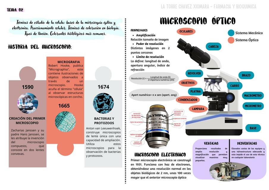 Microscopio óptico y Técnicas de estudio de la célula