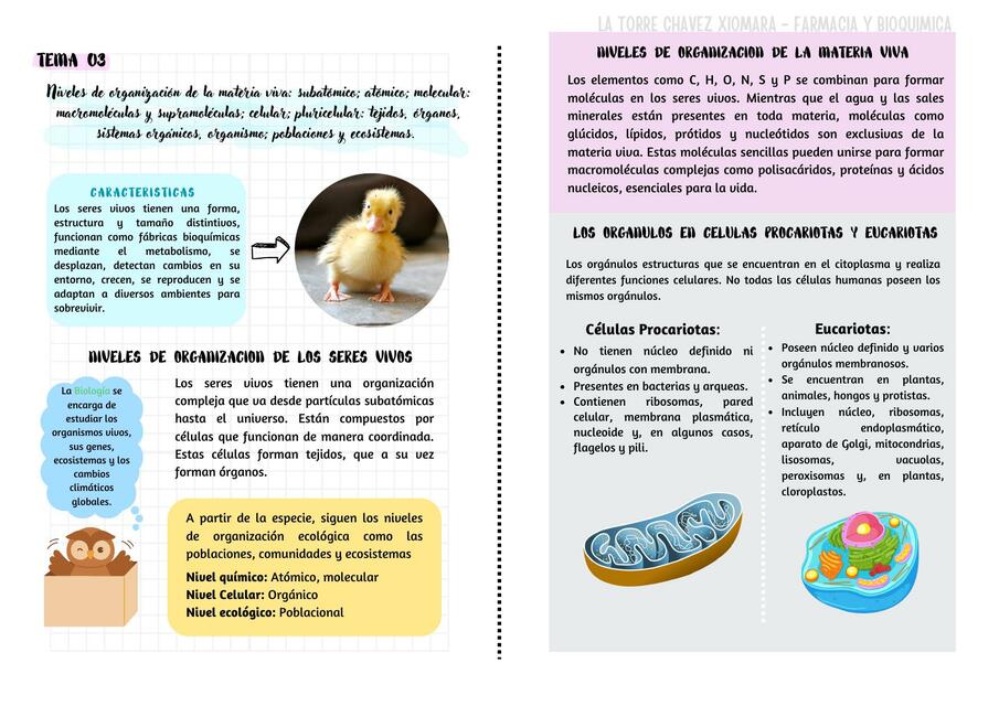 Niveles de organización de la materia viva