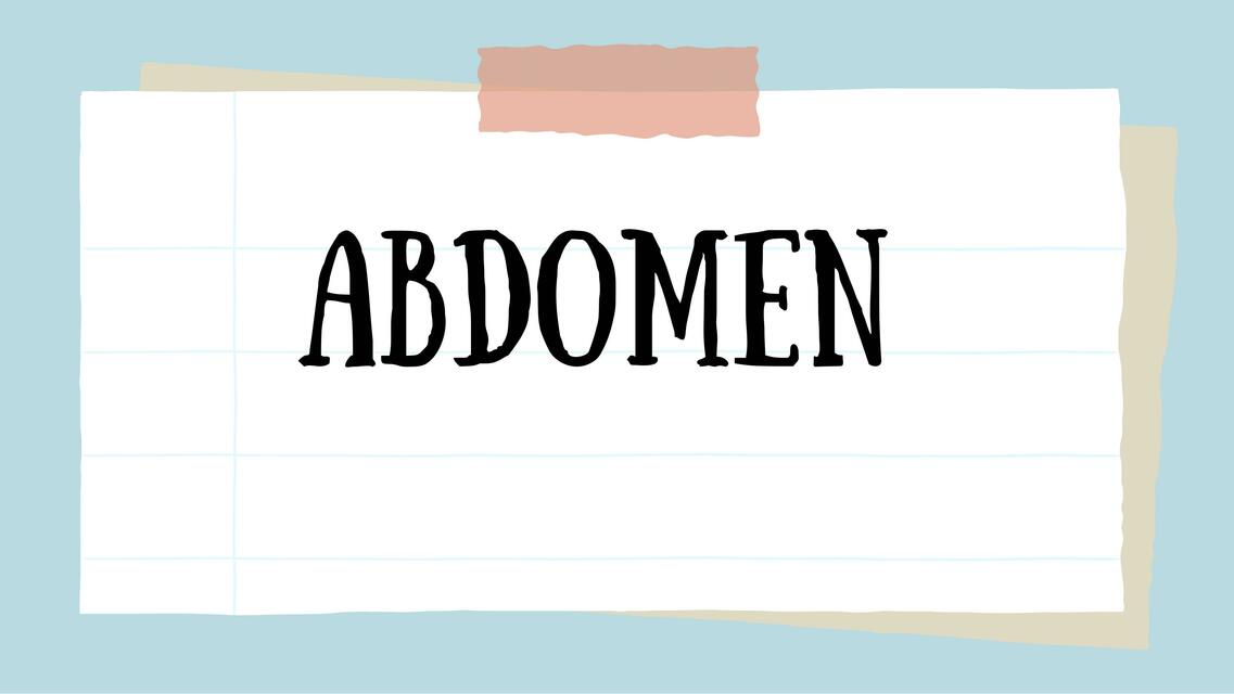 Abdomen y peritoneo