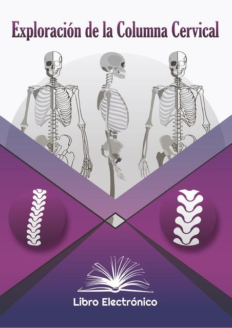 EXPLORACIÓN DE LA COLUMNA CERVICAL Y TORAXICA