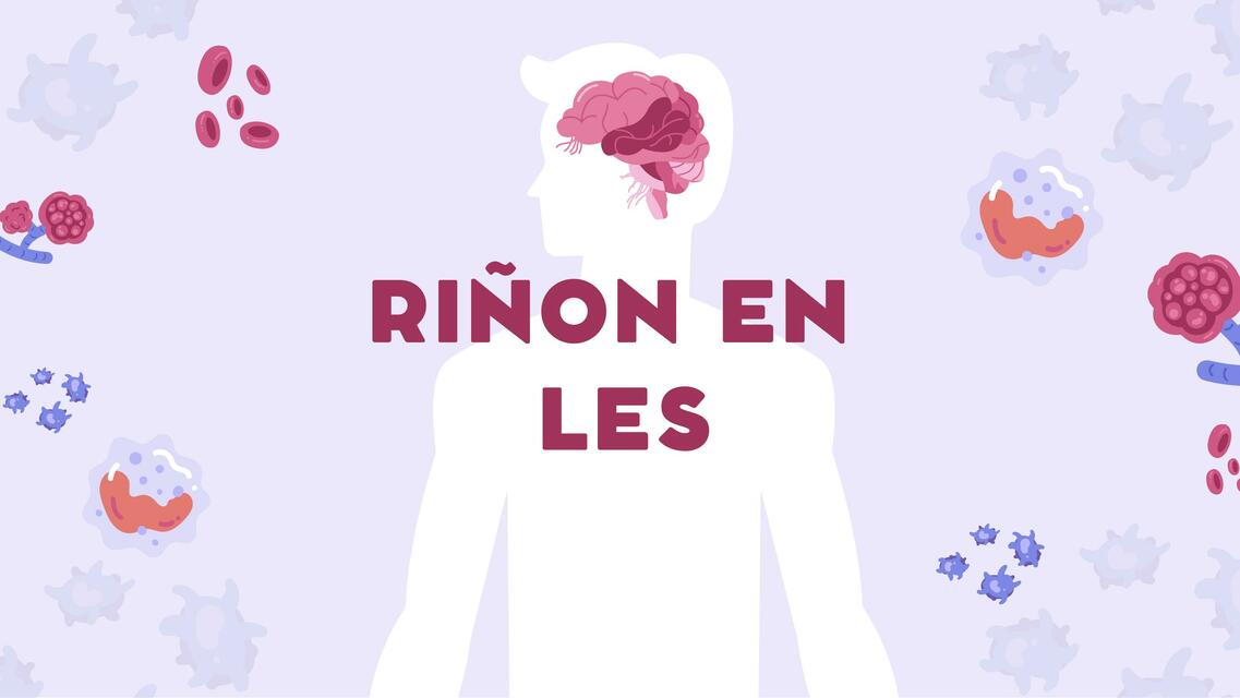 Riñon en LES