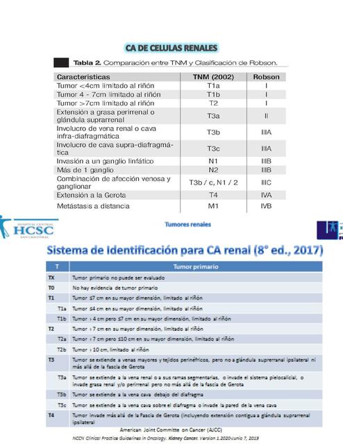 PROTOCOLO CA DE CELULAS RENALES