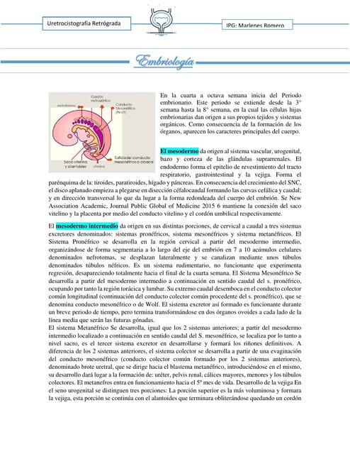 uretrocistografia retrograda MARLENES ROMERO