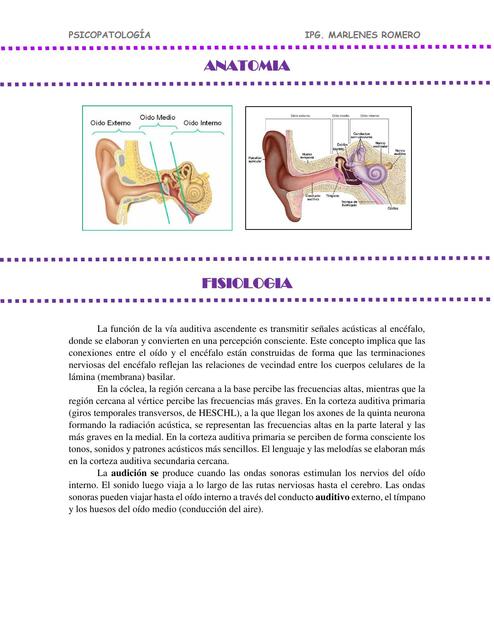 COMO INFLUYE LA MUSICA EN PTES PSIQUIATRICOS