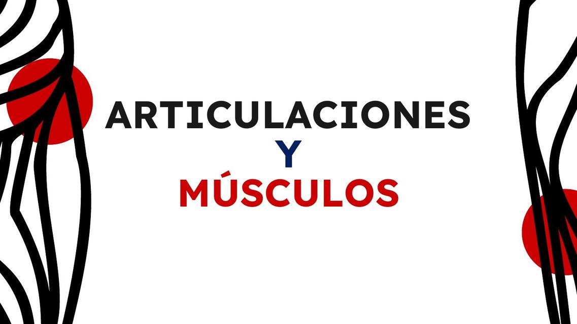Articulaciones Sinoviales Medical_lovers uDocz