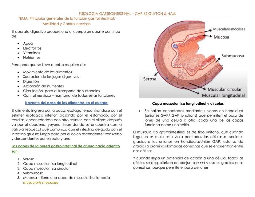 Capitulo 62 - Motilidad y control nervioso - Fisiología gastrointestinal