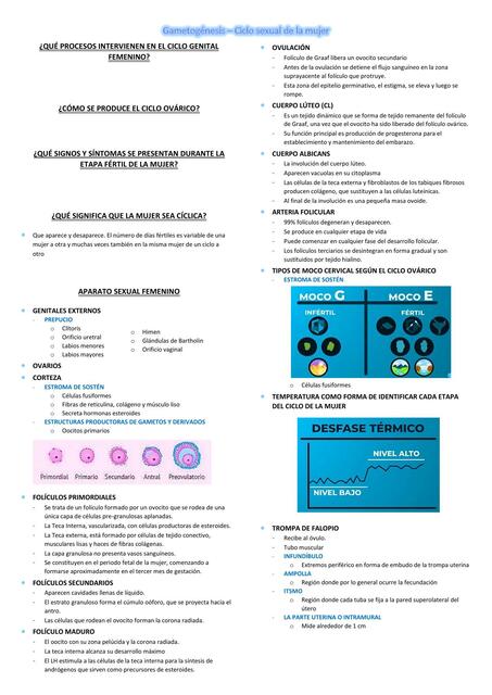 Gametogénesis- Ciclo Sexual de la Mujer 
