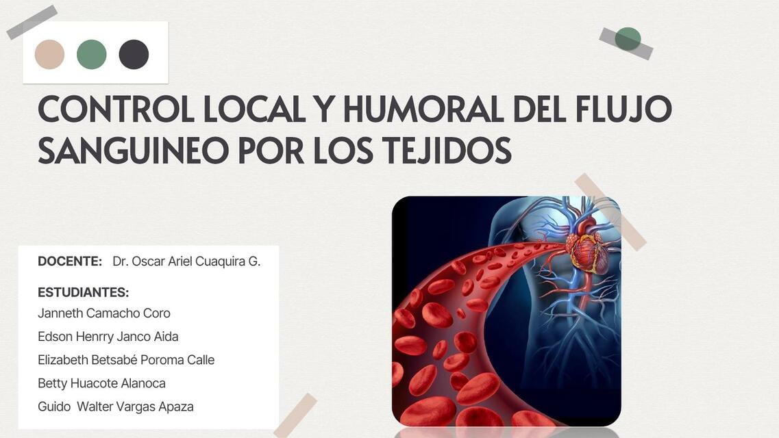 Humoral Control Control local y humoral del flujo sanguíneo por los tejidos | Ronald ...