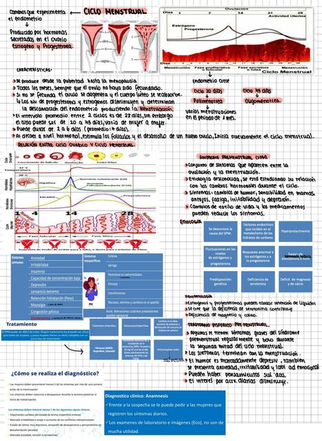 CICLO MENSTRUAL