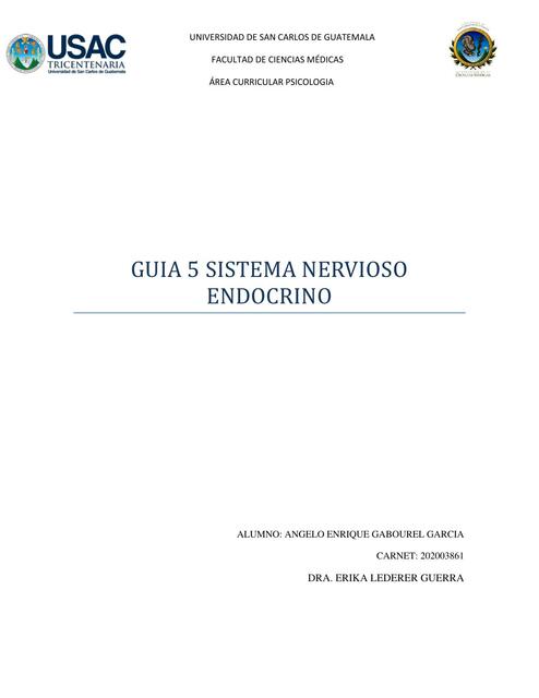 guia 5  SISTEMA NERVIOSO ENDOCRINO