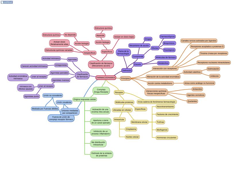 FARMACODINAMIA mapa conceptual | uDocz