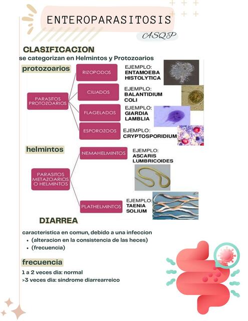 Enteroparasitosis