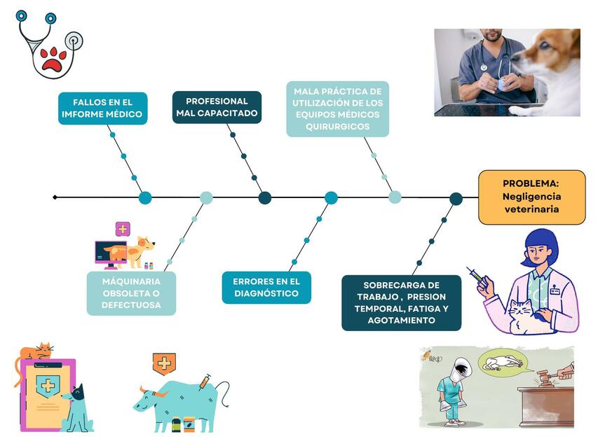 Espina de Ishikawa Negligencia Veterinaria