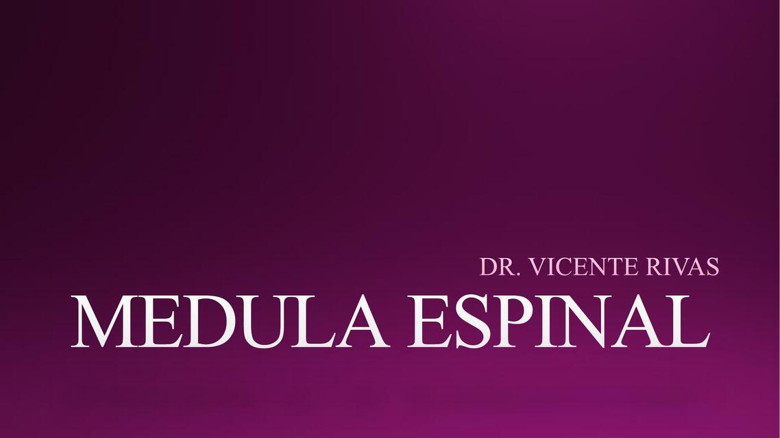 MEDULA ESPINAL ppt