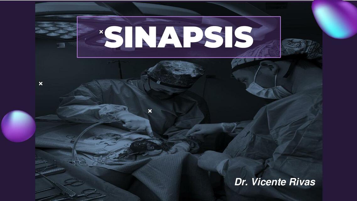 sinapsis