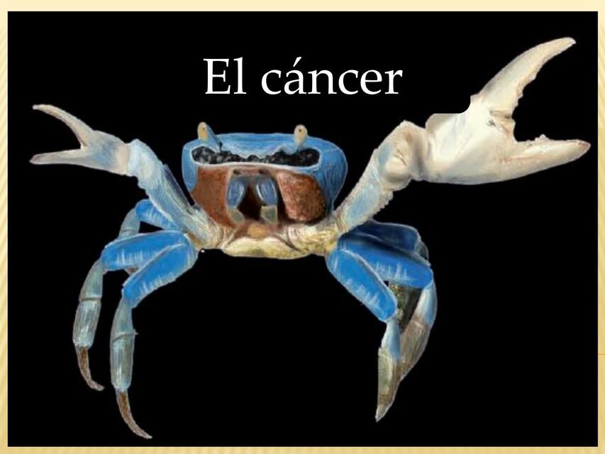 El Cáncer 