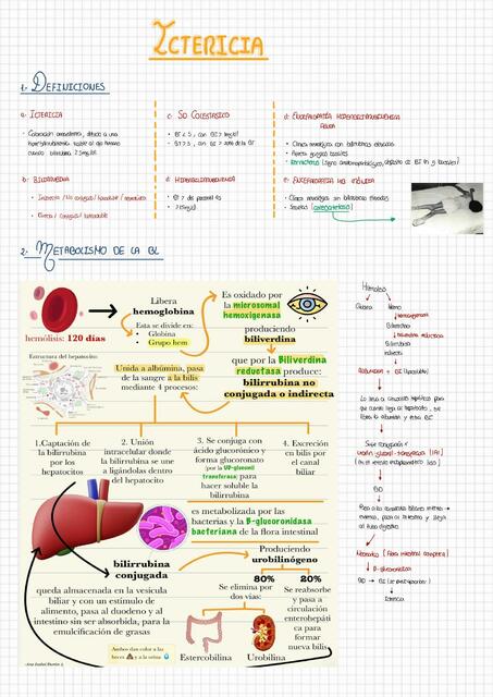 ICTERICIA