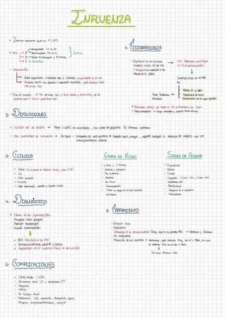 INFLUENZA DENGUE