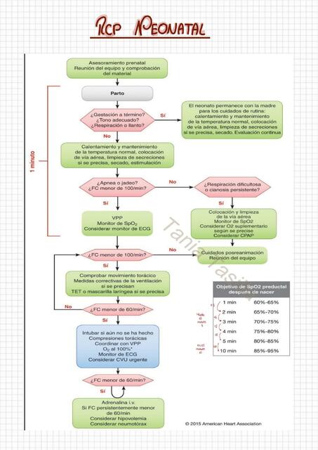 RCP NEONATAL