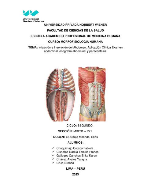 Irrigación e Inervación del Abdomen. Aplicación Clínica Examen  abdominal, ecografía abdominal y paracentesis