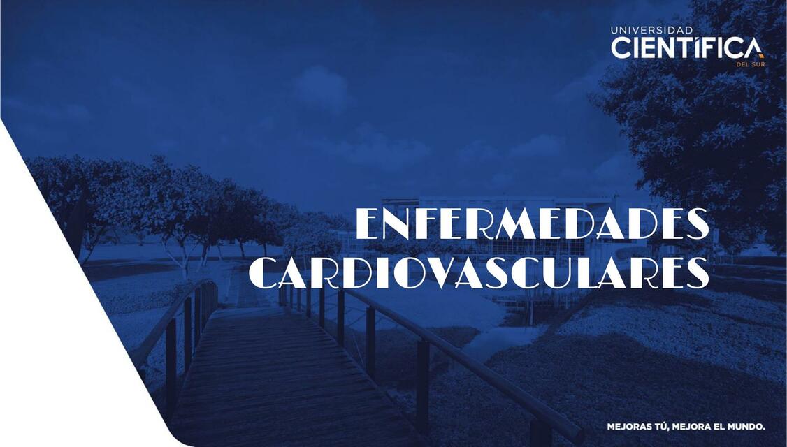 Enfermedades cardiovasculares 