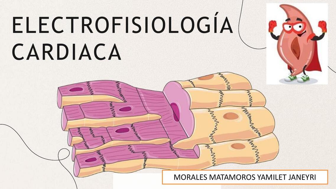 POTENCIAL DE ACCION