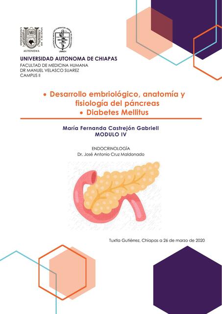 Desarrollo embriológico, anatomía y fisiología del páncreas 