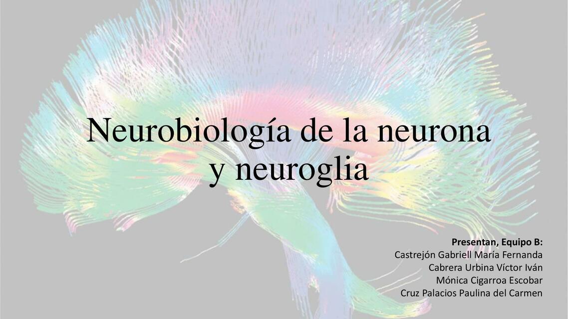 Neurobiología de la Neurona y Neuroglia