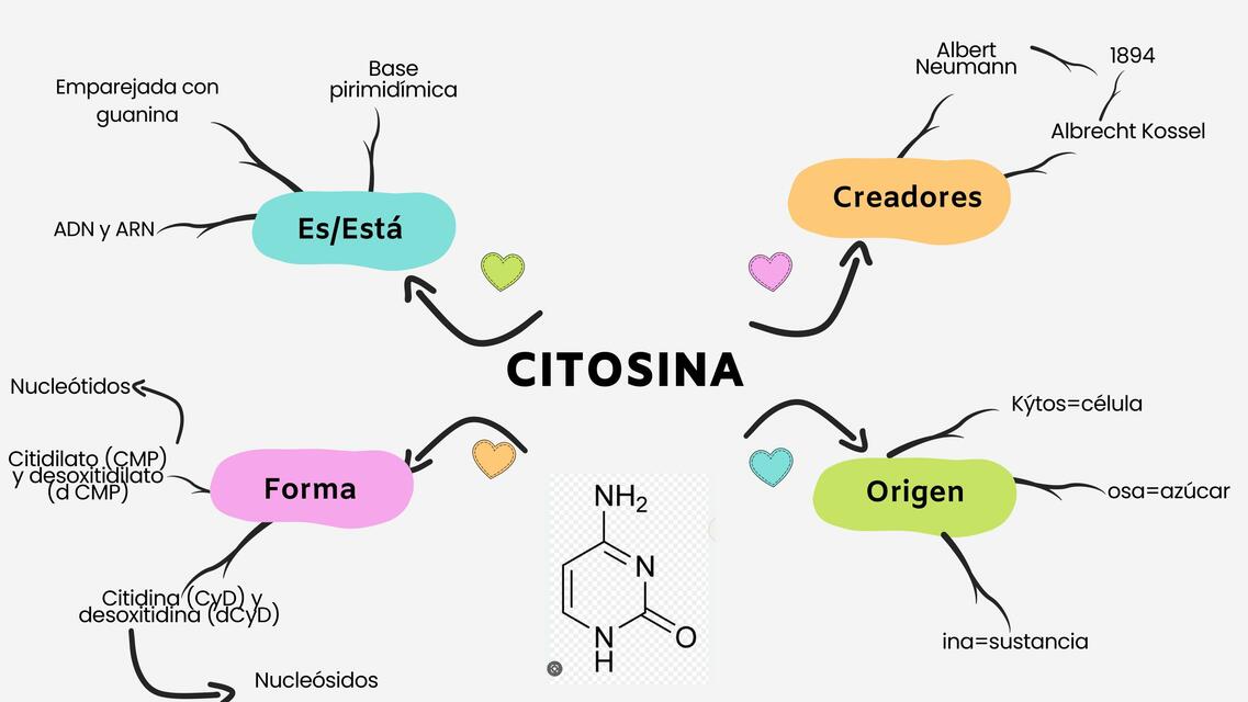 Citosina