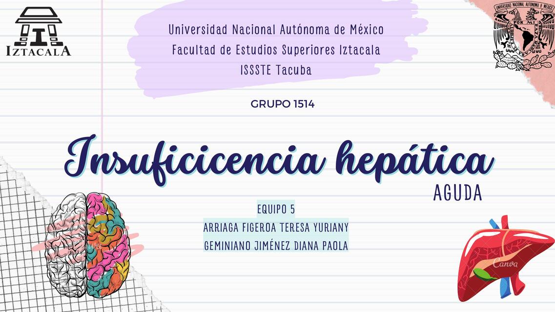 Insuficiencia hepática aguda 2