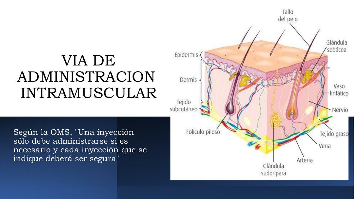 VIA INTRAMUSCULAR