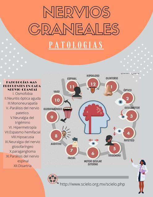 Patologías de los nervios craneales