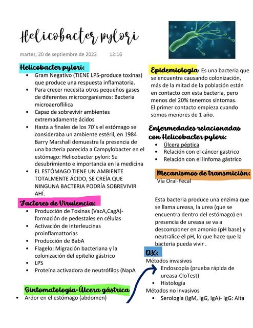 Apuntes Ecología