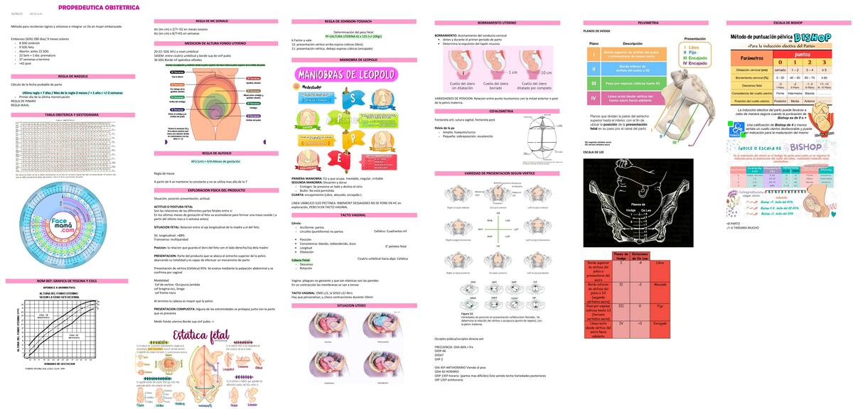 Propedeutica Obstetrica 