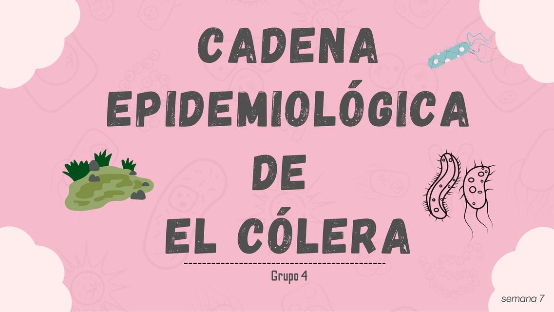 Cadena epidemiológica cólera 