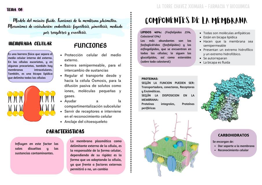 Componentes de la membrana 