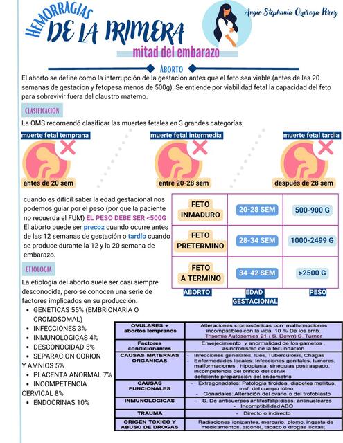 Hemorragias en la primera mitad del embarazo