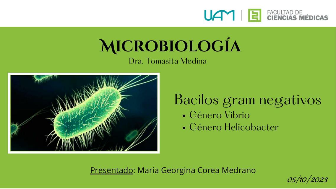 Bacilos gram negativos Genero vibrio y helicobacte