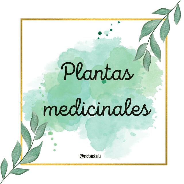 PLANTAS MEDICINALES